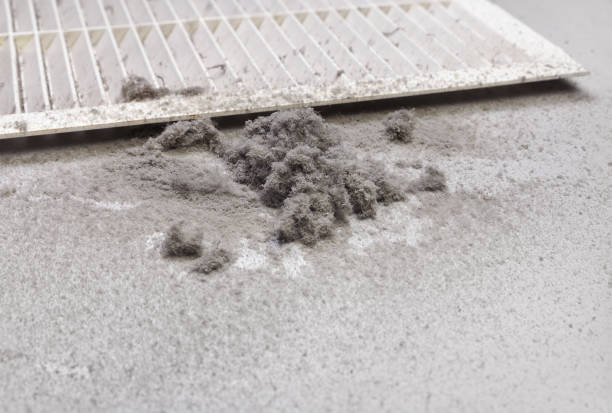Best Professional Duct Cleaning Services  in Pembroke Park, FL