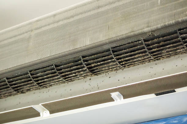 Best Air Duct Cleaning Near Me  in Pembroke Park, FL